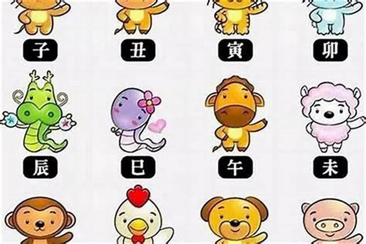 夏至来袭!十二生肖避祸必看tips