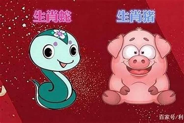 属蛇的与属蛇的八字合婚怎么样 配不配？