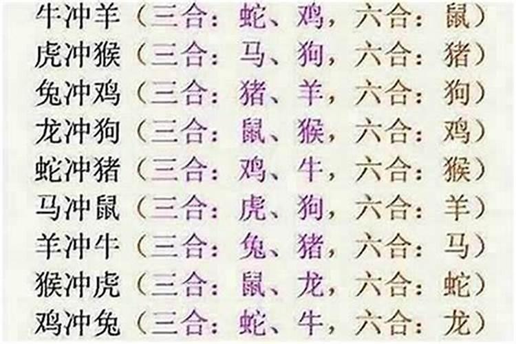 属牛和属龙的八字合吗