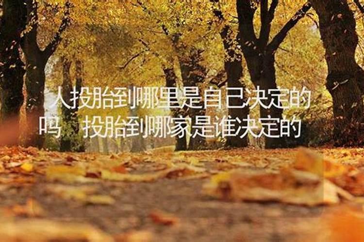 孩子投胎到谁家是天注定的吗