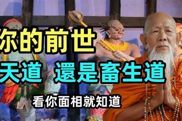 天下下凡的孩子一般会活多久