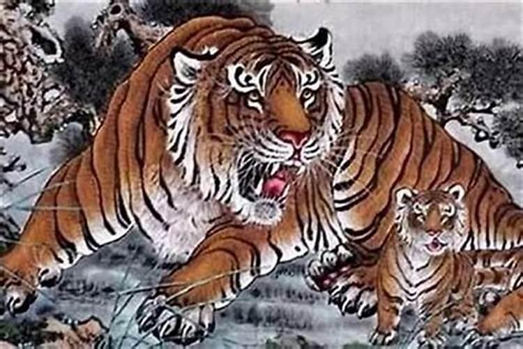 属虎的和属猪的相配吗
