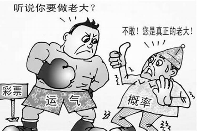 兔和羊在一起财运好吗 取长补短能生财