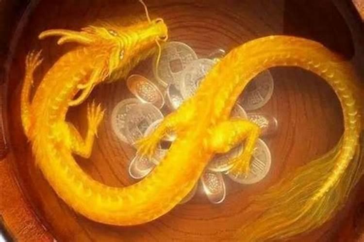 属龙的人和什么属相最般配