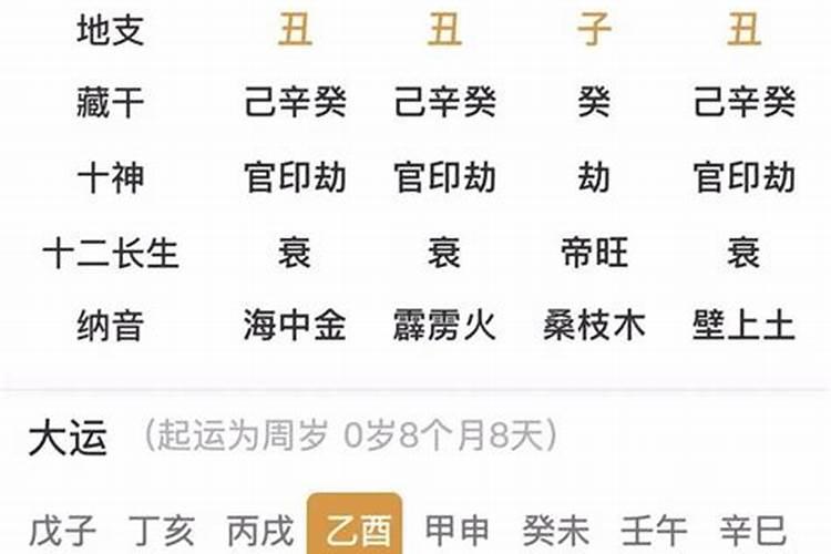 子丑寅卯辰巳午未申酉戌亥分别为几月