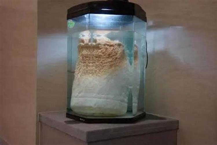 破太岁都烧些什么东西