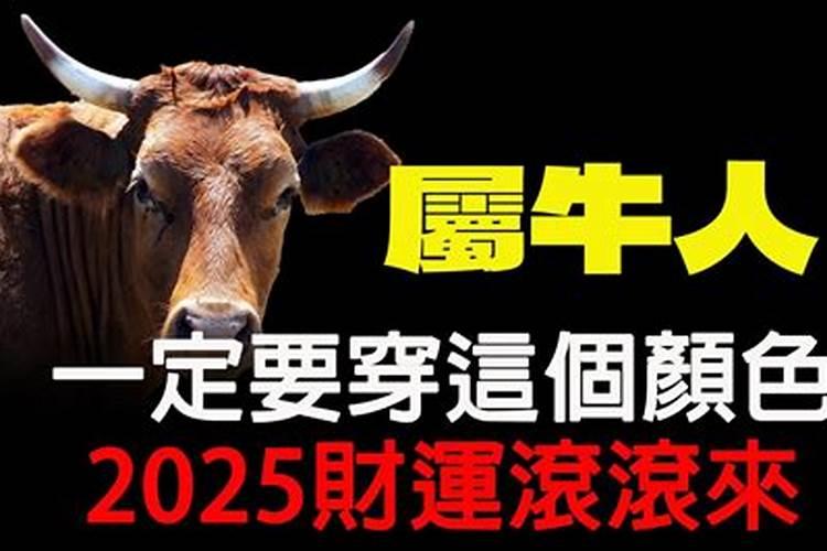 属牛女人一生的命运