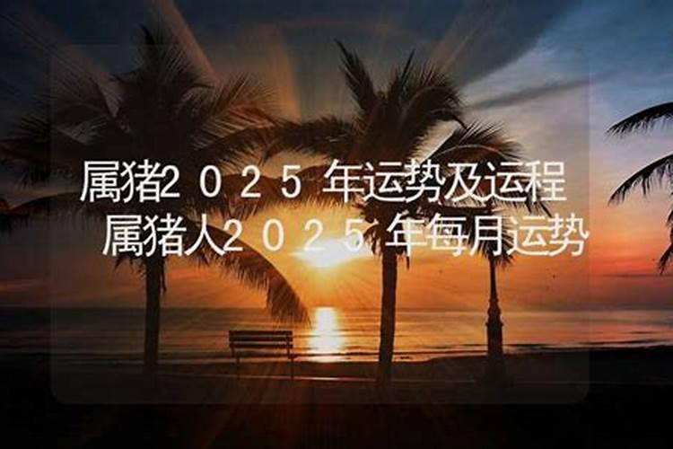 2025年属猪的全年运势