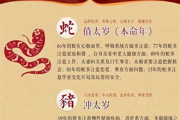 2025属猪犯太岁,冲太岁怎么办