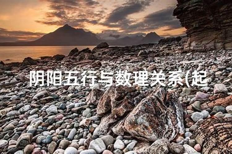 94年属狗人每月运势