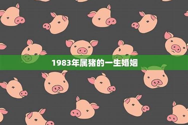 83年属猪人2025年有何劫难