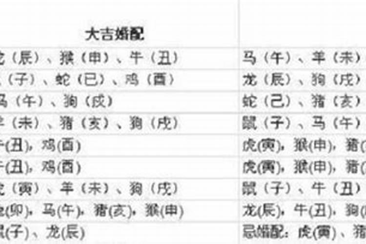 97年属牛2025年运势