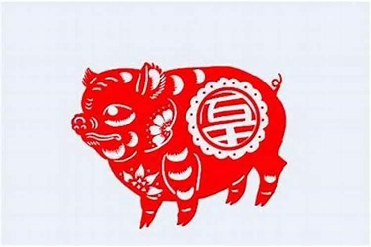 属猪人今日麻将运势查询