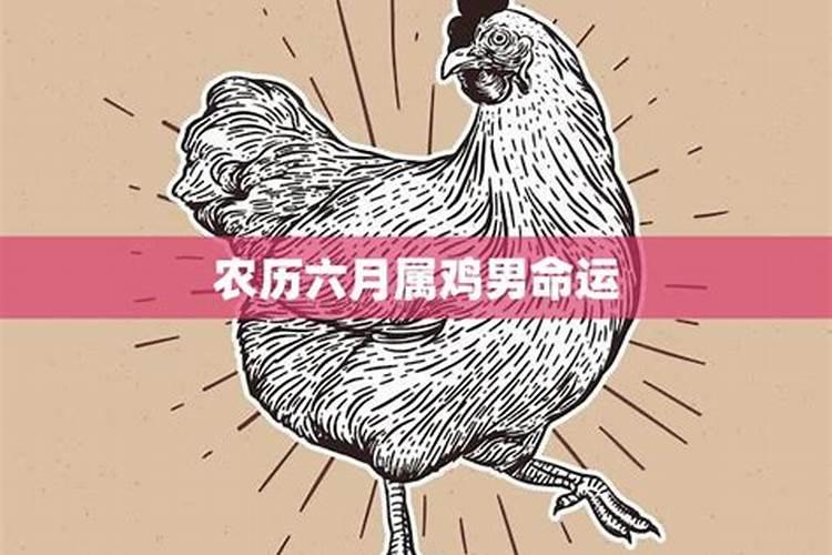 九三年出生的属鸡的今年能脱单吗？