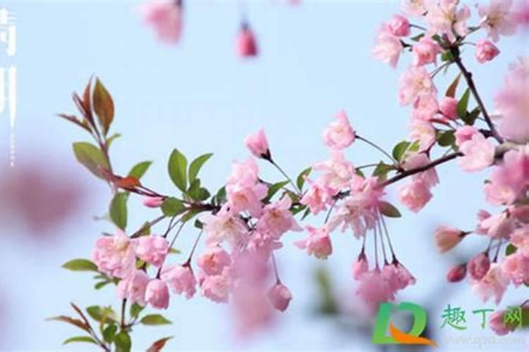 交运的日子是怎么计算的呢？