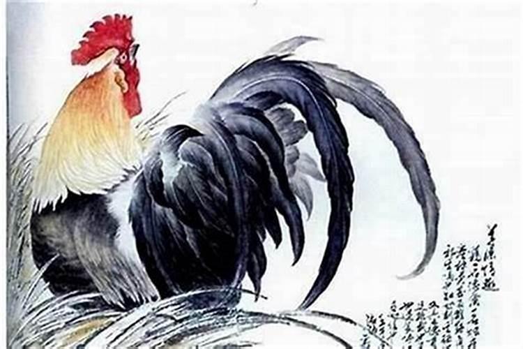 鸡同鸡属相婚配吗,属相鸡和属相龙相配么