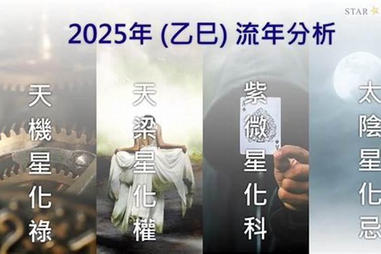 双会火腿是什么意思？