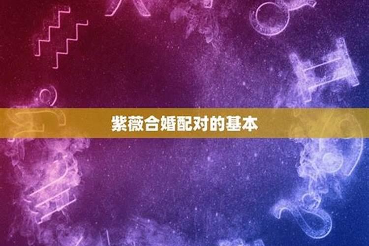 紫微命盘配对 紫微斗数夫妻宫看感情？