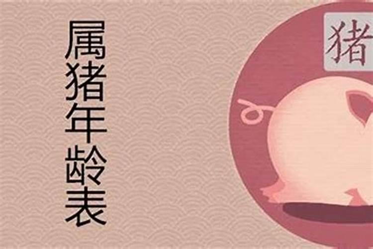1971属猪2025年几岁