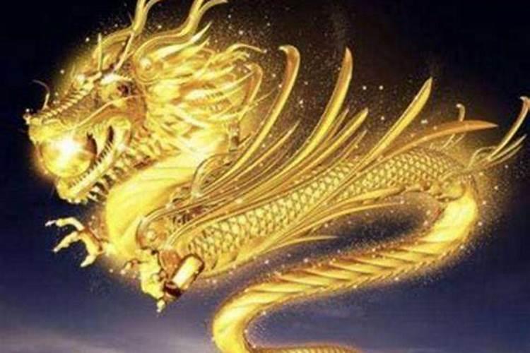 为什么说龙盘兔不好呢？