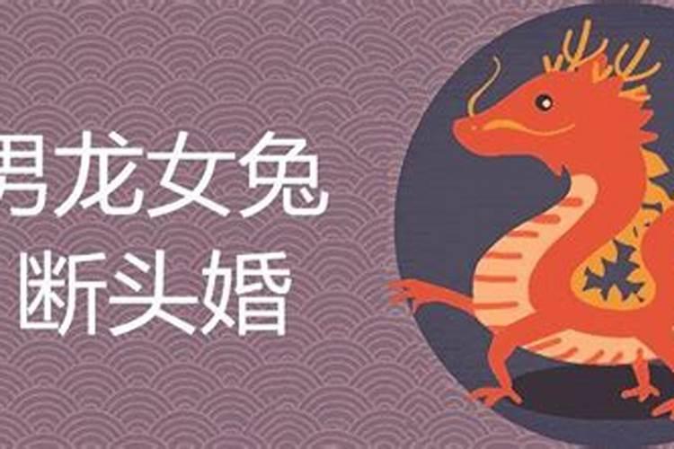 龙兔合婚能化解吗,龙兔相冲怎么化解