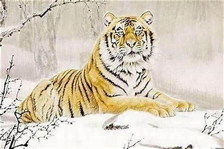 虎年本命年戴什么 虎年本命年戴什么首饰好