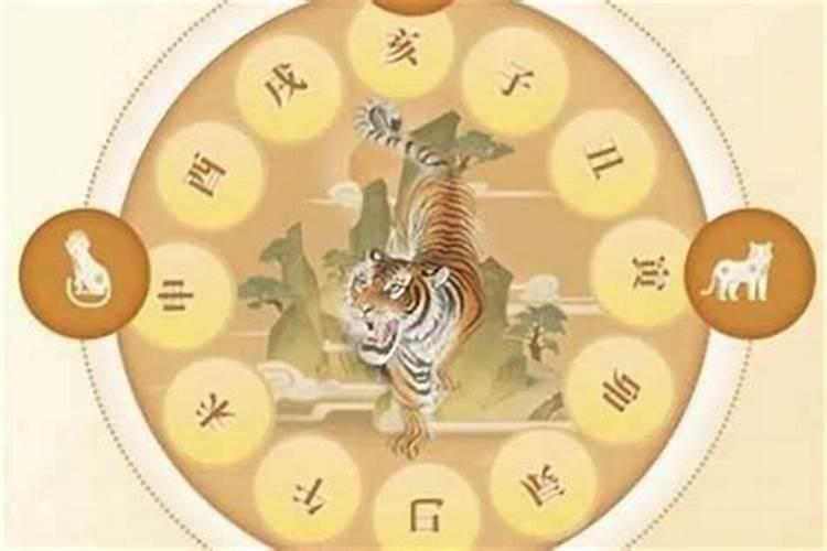 74年农历4月4日早上4时生男一生运程和财运好吗？