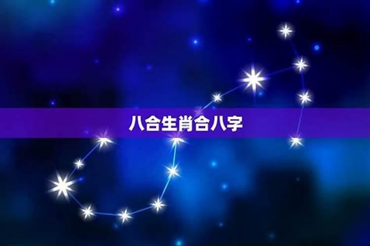兔和什么八字合 与属兔相合的生肖有哪些