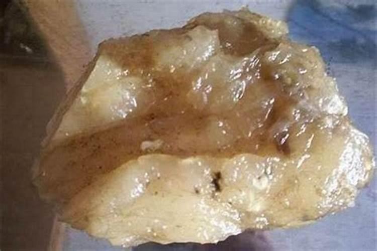 养太岁放白糖可以吗？