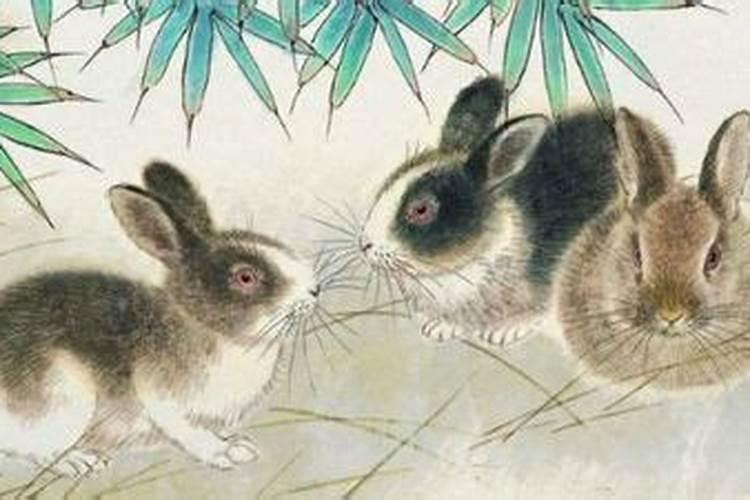 75年属兔人一生命运1975属兔人一生三大坎