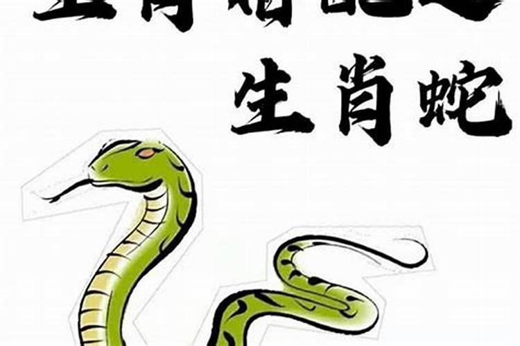 属蛇的和什么属相最配和相克属蛇和什么属相相配好