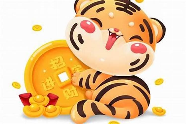 生肖虎的财运好不好