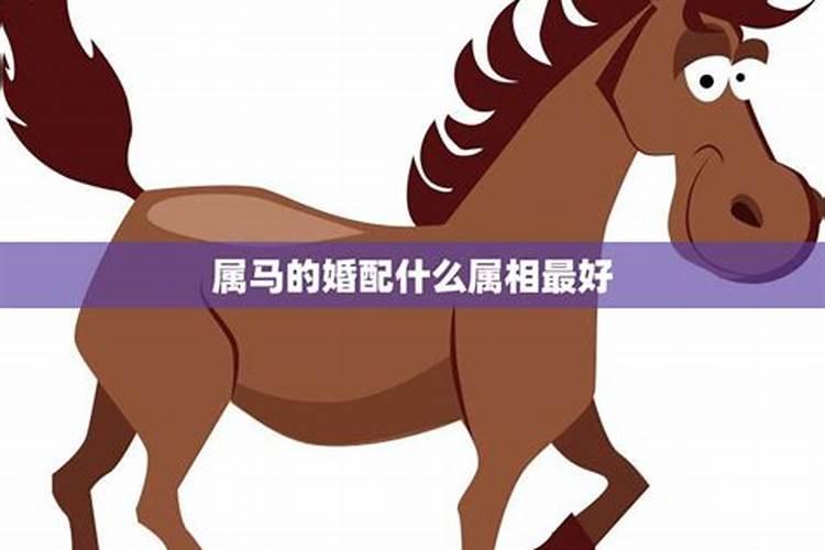 属马的不能和什么属相在一起属马婚配的禁忌
