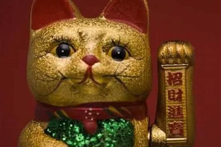 九月的狗的命运怎么样