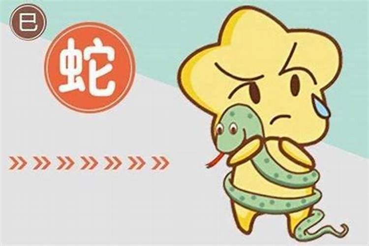七月蛇男的命运怎么样 运势详解解析