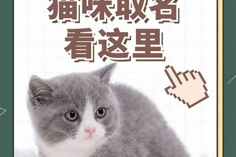 宝贝正月十五出生了,帮忙起个好名字啊 谢谢