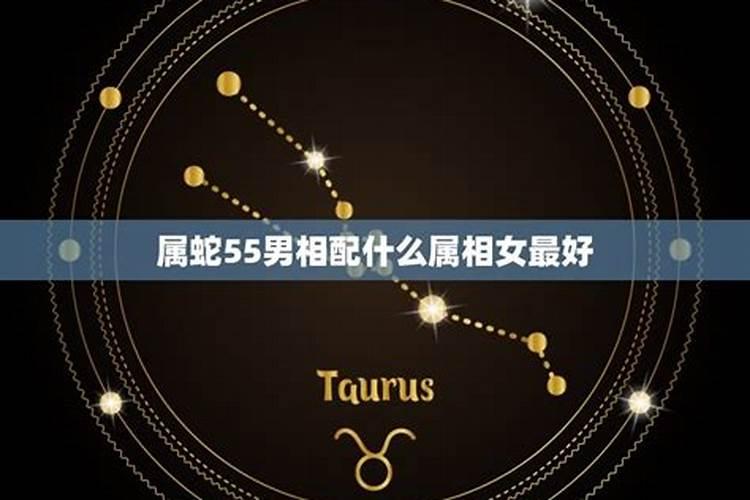属蛇的和什么属相最配