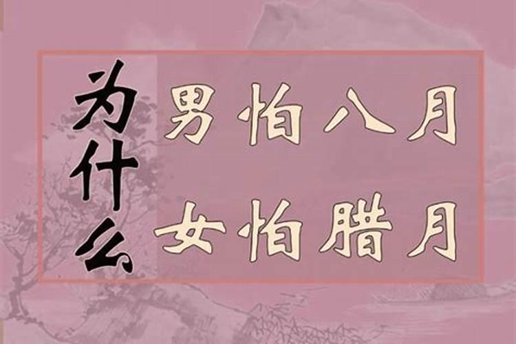 还阴债用买小合金.摇钱树和金库吗