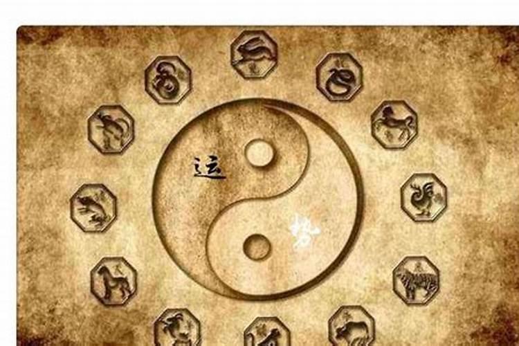 婚姻看属相科学吗,婚姻中到底有没有属相配的说法？
