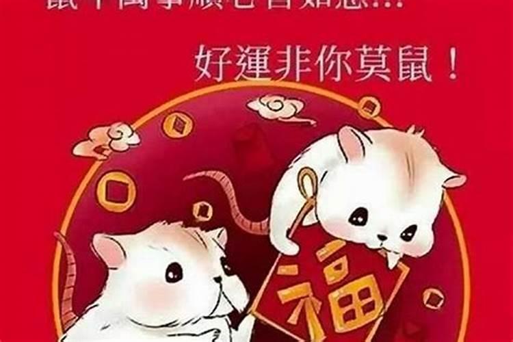 1996属鼠24岁本命年要注意什么婚姻与命运？