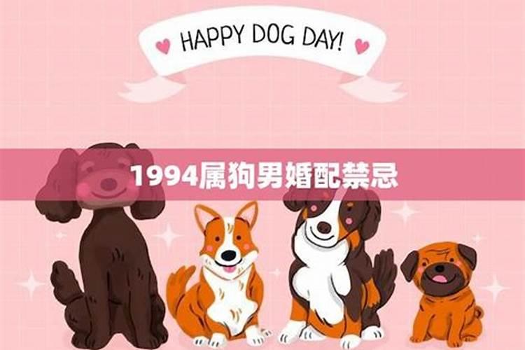 合八字:属蛇的女人与属狗男相配吗 两人有姻缘吗