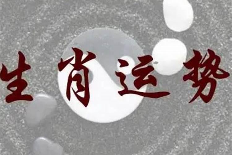 在1930年到2025年期间,柳州公交车的线路设置有何改变？