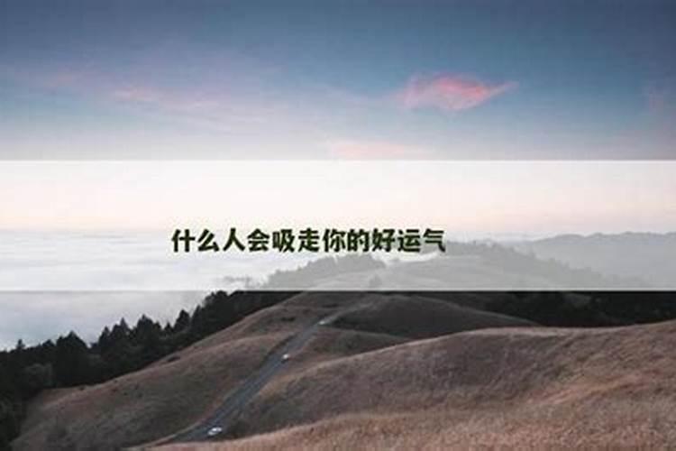 卧室里摆放什么可以旺财旺运气