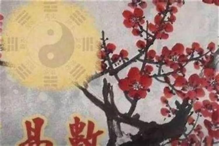 梅花易数得卦 问感情 请高手帮我解一下啊