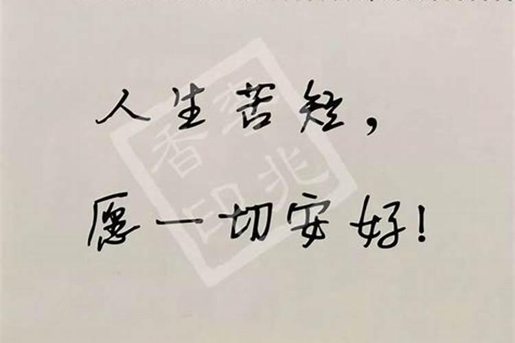 为什么我的命好苦啊？