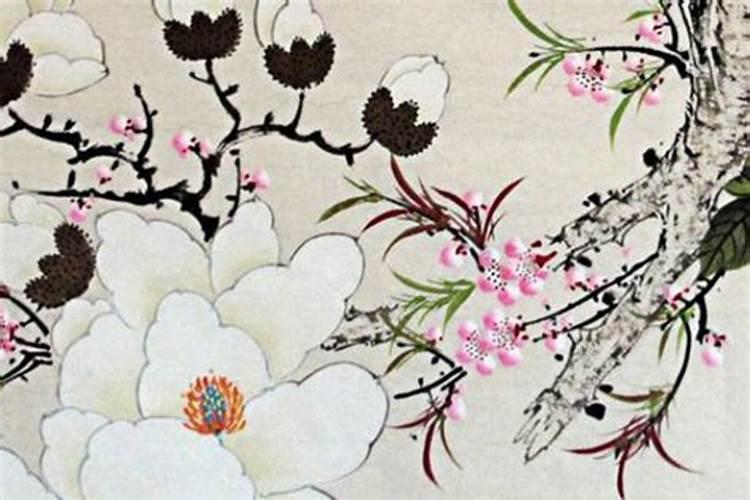 3月3出生的人有什么说法