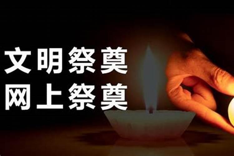 卧室为什么不能摆绿植