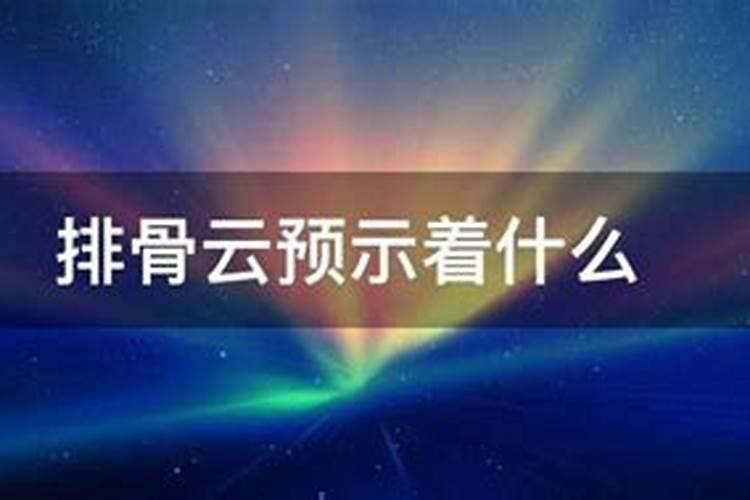 端午节除了吃粽子还吃啥