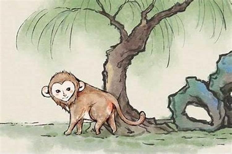 属猴68年一生晚年怎样