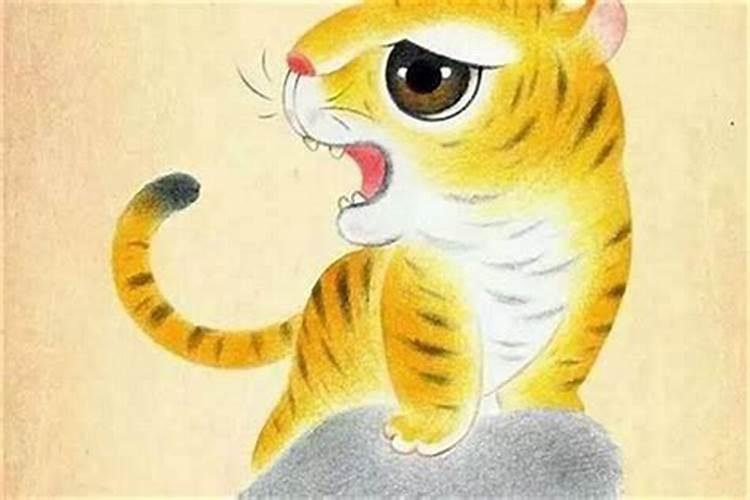 鼠和虎合财吗